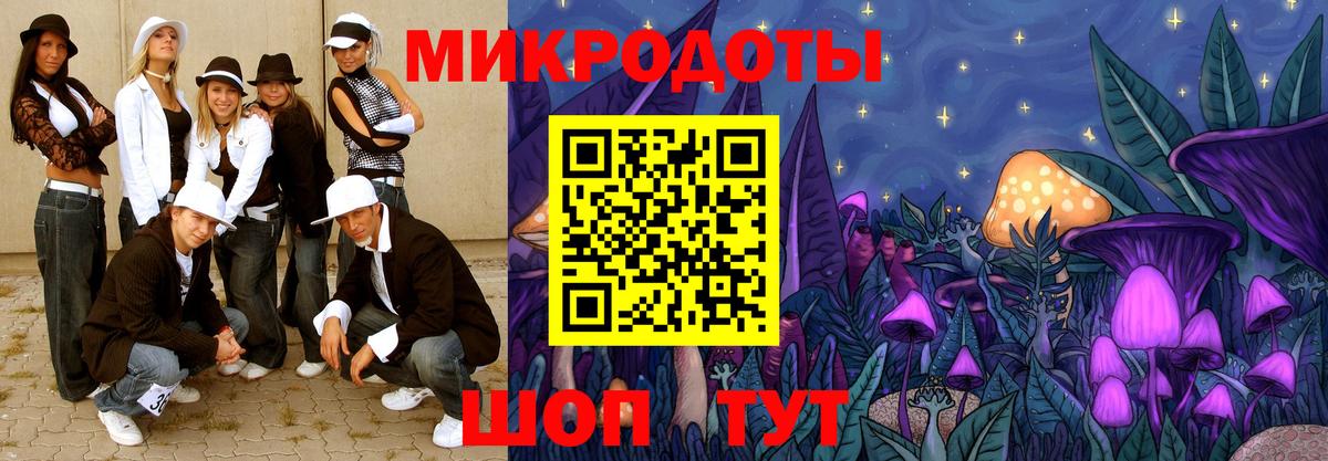 Псилоцибиновые грибы Psilocybine cubensis Арсеньев